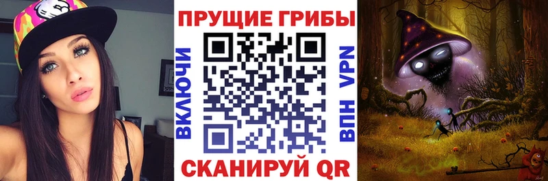Псилоцибиновые грибы Psilocybe  Кызыл 